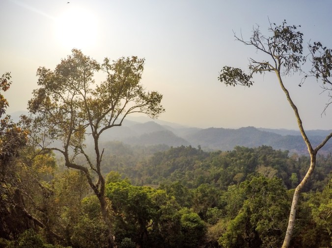 A ješte jednou výhled z našeho domečku na stromě