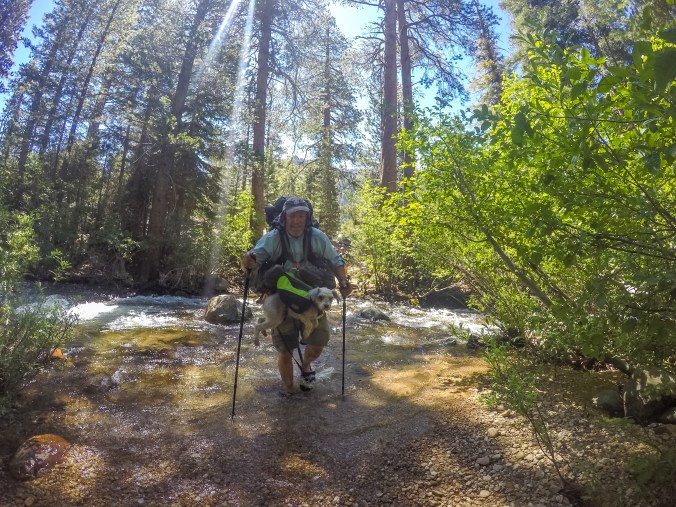 DCIM101GOPROGOPR2425.