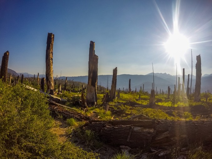 DCIM101GOPROGOPR2448.